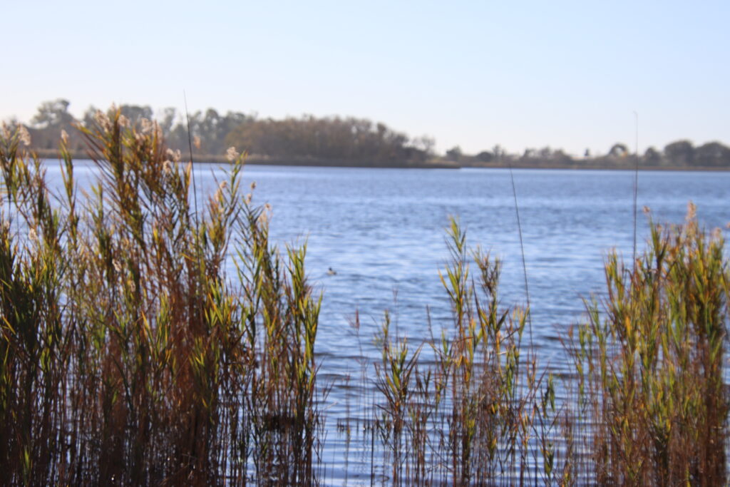 20lago