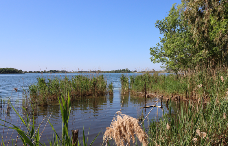 lacus galleria lago 01