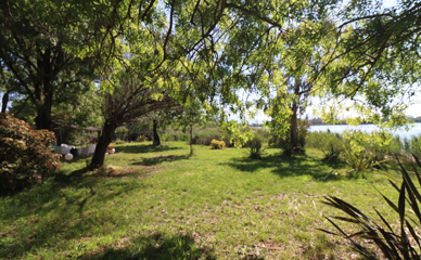 lacus galleria small lago 02